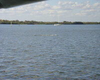 006 - Titusville boat trip